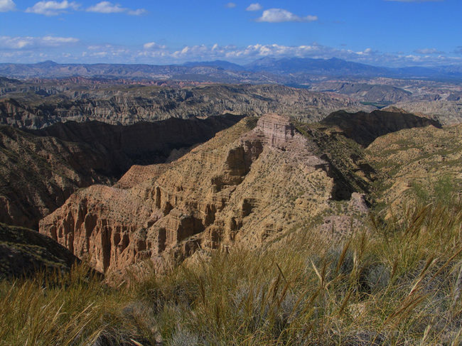 Los badlands del interior de la cuenca de Guadix-Baza, en el Geoparque de Granada, se encuentran entre los más extensos de Europa. Su protección legal permitirá asegurar el mantenimiento de una rica biodiversidad y de las extensiones de semidesiertos y estepas naturales mejor conservadas de Andalucía (foto: José Antonio Garrido).