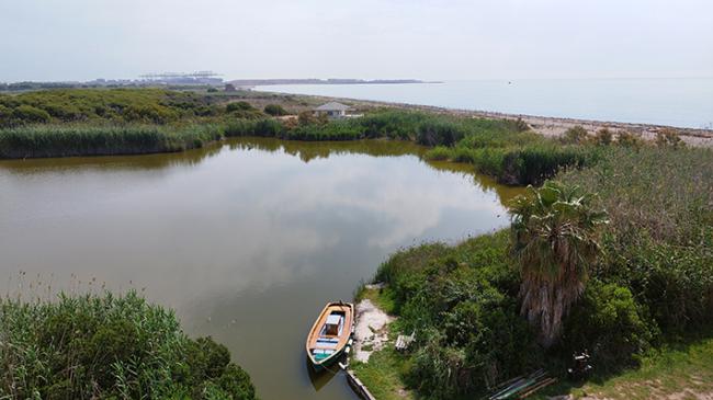 La desembocadura de la laguna de La Ricarda, en el delta del Llobregat (Barcelona), no se ha vuelto a comunicar con el mar en los últimos veinte años. Las anguilas han desaparecido (foto: José Lascurain).