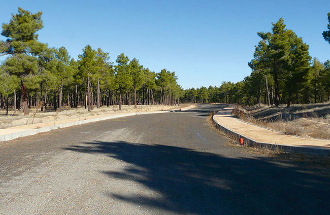 Uno de los viales abiertos para un proyecto de urbanización iniciado en el término municipal de Villanueva de Gómez (Ávila), dentro de un territorio de águila imperial, y que acabó siendo paralizado por su impacto ambiental (foto: Jesús Abad).