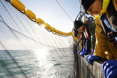 Un barco pesquero faena con sus redes en una pesquería que ha obtenido el sello internacional independiente MSC.