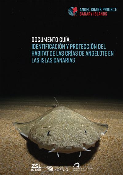 Portada del Documento Guía.