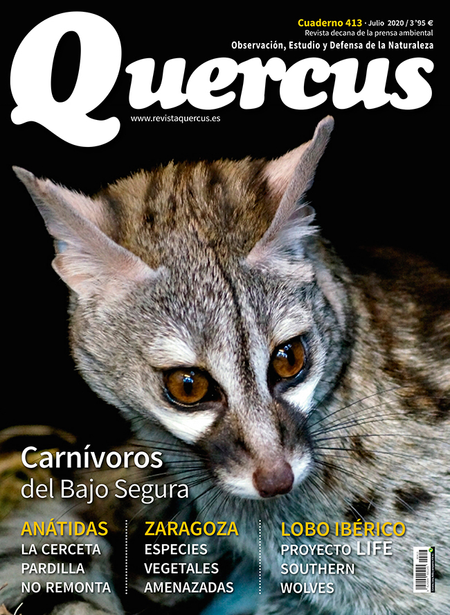 Sumario Quercus nº 413 / Julio 2020