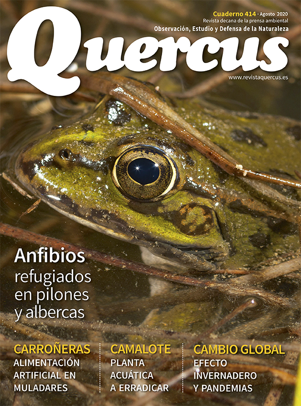 Sumario Quercus nº 414 / Agosto 2020