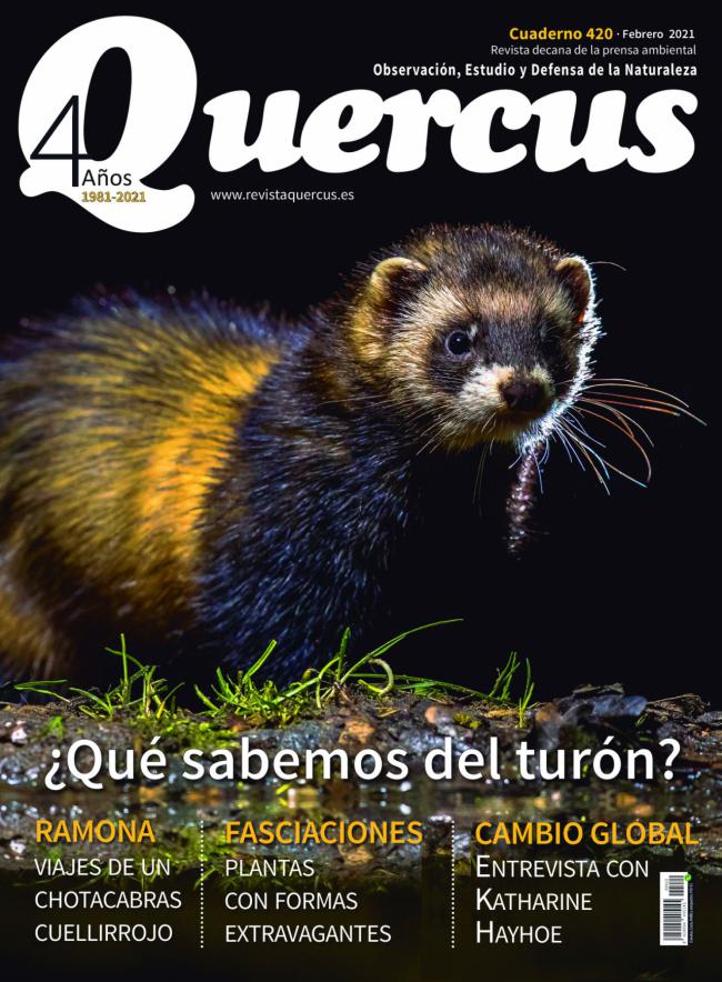 Sumario Quercus nº 420 / Febrero 2021