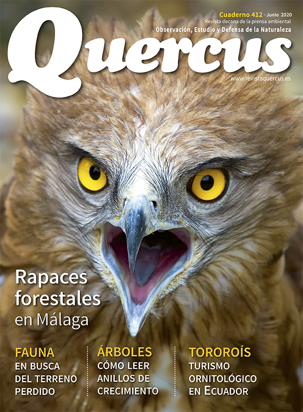 Portada Quercus nº 412 / Junio 2020