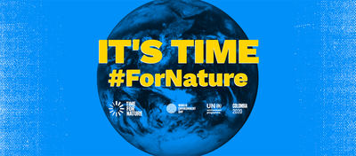 TRIBUNA: La AEEA ante el Día Mundial del Medio Ambiente