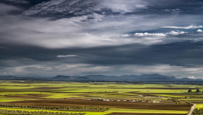 La Vega de Carmona, en la provincia de Sevilla, en una panorámica tomada desde Mairena del Alcor (foto: Carlos Tena).