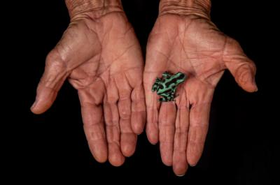 Una de las fotografías de Javier Lobón-Rovira que se exhiben en la exposición del MNCN.