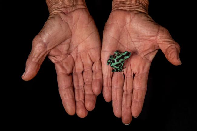 Una de las fotografías de Javier Lobón-Rovira que se exhiben en la exposición del MNCN.