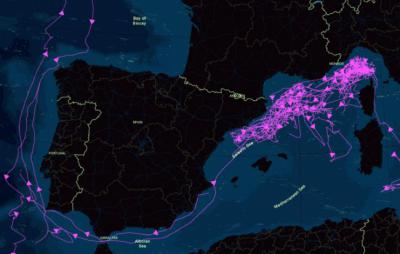 Sector incluido en las rutas del rorcual común presentadas por el mapa interactivo de Protecting Blue Corridors.