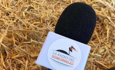 Un hito: 'La Radio del Somormujo' alcanza los 250 episodios