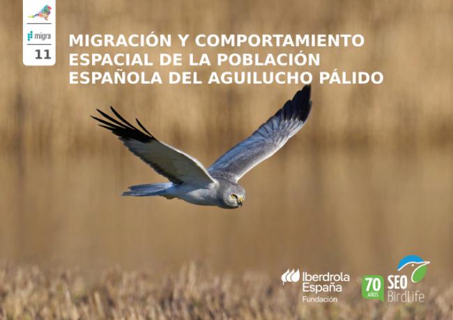La nueva monografía del aguilucho pálido