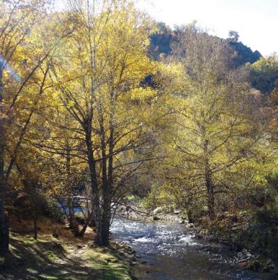 Arroyo en el Parque Natural de la Sierra Norte de Guadalajara (foto: Juan Luis Aguirre).