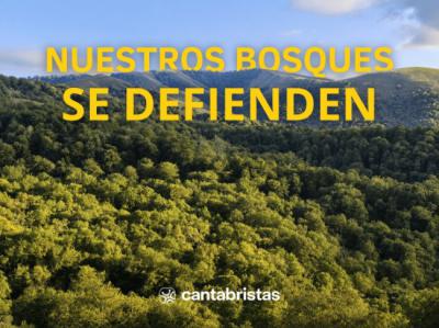 En defensa de los bosques autóctonos