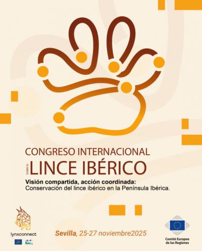 Congreso internacional en Sevilla para hablar de la expansión del lince ibérico