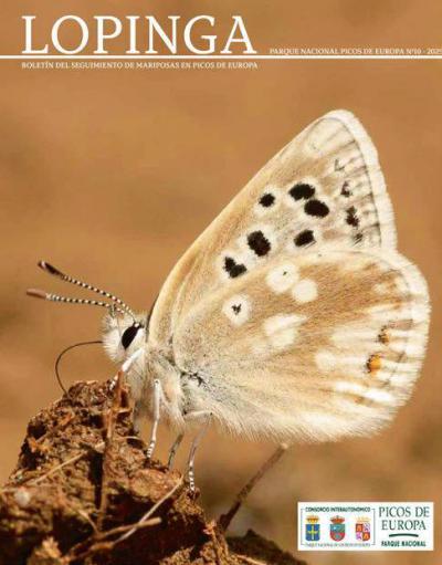 Nuevo número de la revista ‘Lopinga’, sobre el seguimiento de mariposas