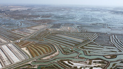 Panorámica del Parque Natural de la Bahía de Cádiz (foto: Juan Martín).