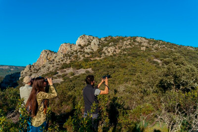 Actividad de observación de aves durante una edición anterior del Mes de las Reservas de la Biosfera de Monfragu?e y Tajo Internacional (foto: Diputación de Cáceres).