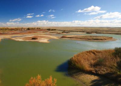 Panorámica de las lagunas zamoranas de Villafáfila, tratadas en el primer capítulo de “Local Patchers” (foto: LFRabanedo / Adobe Stock).