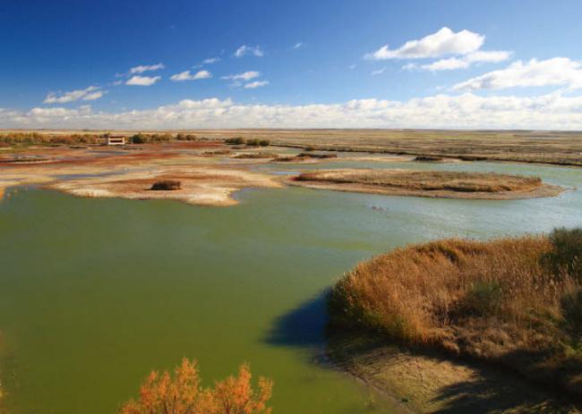 Panorámica de las lagunas zamoranas de Villafáfila, tratadas en el primer capítulo de “Local Patchers” (foto: LFRabanedo / Adobe Stock).