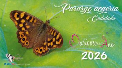 La mariposa ondulada es la Mariposa del Año 2026