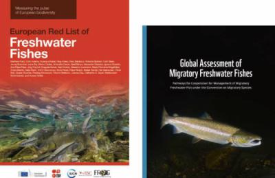 Dos nuevos informes de referencia sobre peces de agua dulce
