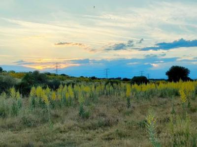 Atardecer en la zona de Los Carriles, en el municipio de Alcobendas (Madrid). Foto: Ecologistas en Acción.