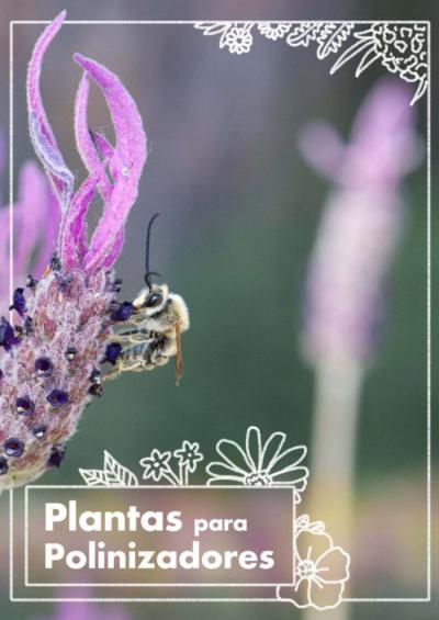 Guía de plantas autóctonas para ayudar a los polinizadores