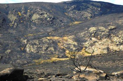 Panorámica de Ladera Ventosa, sobre la turbera de Covadosos, arrasada por el megaincendio de agosto de 2025 en Sierra Segundera, en la comarca de Sanabria (Zamora). Foto: Javier Morales.