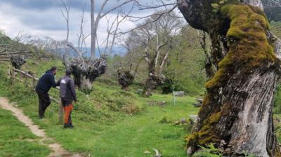 Un técnico del proyecto y un paisano del lugar observan un souto de castaño en San Paio de Araúxo (Lobios, Ourense). Foto: Proyecto Mixturando.