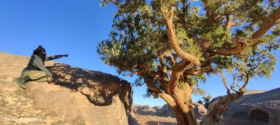 El guía Lhassan Machar junto a un ciprés del desierto en una expedición de 2024 (foto: Bernabé Moya y José Moya).