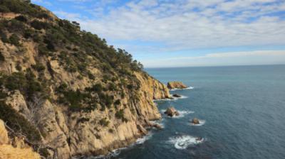 Acantilado del Macizo de Cadiretes, en la Costa Brava, ejemplo de hábitat de varias especies del género Limonium donde ha trabajado el proyeclo LIFE medCLIFFS (foto: Edgard Mestre).