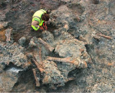 Proceso de excavación de uno de los esqueletos parciales de titanosaurio en el yacimiento de Lo Hueco (Fuentes, Cuenca). Foto: Grupo de Biología Evolutiva de la UNED.