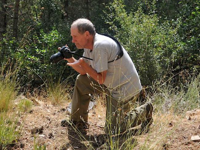 Carlos M. Herrera en el Barranco del Guadalentín, dentro de la sierra de Cazorla (Jaén), observando y fotografiando los insectos polinizadores del espliego (Lavandula latifolia).