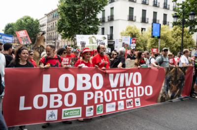 Cabecera de la manifestación, con las organizaciones convocantes al frente (foto: Adrián Fernández).