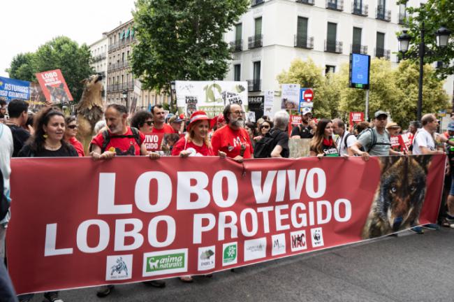 Cabecera de la manifestación, con las organizaciones convocantes al frente (foto: Adrián Fernández).