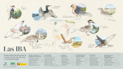 Áreas IBA: colaboración ciudadana para vigilar los espacios importantes para las aves