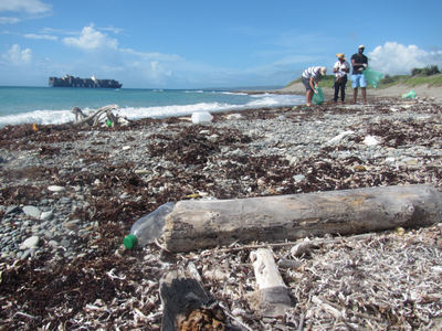 Recolección de botellas y otras basuras acumuladas en la playa de Palisadoes (Jamaica). Foto: Martin Thiel.