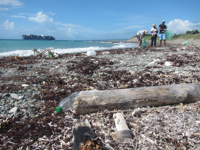 Recolección de botellas y otras basuras acumuladas en la playa de Palisadoes (Jamaica). Foto: Martin Thiel.