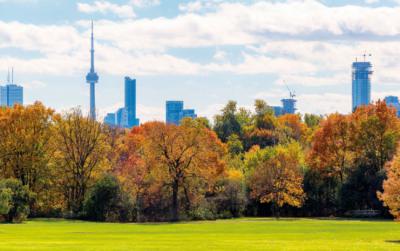 Paisaje urbano otoñal con el skyline de Toronto (Canadá) al fondo (foto: redfoxca / Adobe Stock).