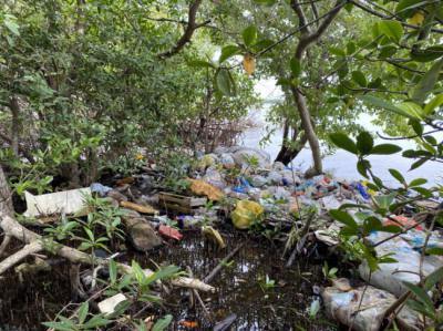 Basura acumulada en un manglar de la isla Tierra Bomba, cerca de Cartagena de Indias, en la costa caribeña de Colombia (foto: Ostin Garcés-Ordóñez).