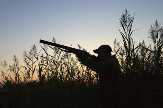 Un cazador se dispone a disparar en un humedal (foto: Vladimir Konjushenko / Adobe Stock).