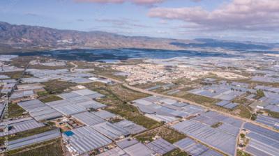 Invernaderos de El Ejido (Almería). La agricultura intensiva es uno de los sectores analizados en el informe “Incentivos perversos” (foto: Alice_D / Adobe Stock).