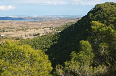 Vista panorámica de la umbría de la Sierra Escalona, declarada Zona I o de Alto Valor Ambiental del PORN (foto: Miguel Ángel Pavón).