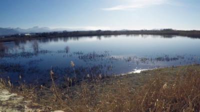 Aspecto de la Laguna Grande de Baeza en 2021, aún con agua pero ya en plena fase de deterioro (foto: SIECE).