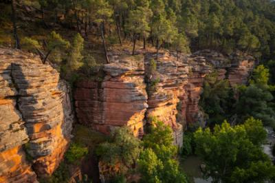 Barranco en el Parque Natural del Alto Tajo (foto: James Shooter / Rewilding Europe).