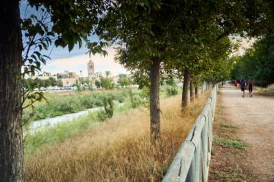 Tramo del río Segura a su paso por la ciudad de Orihuela (Alicante).