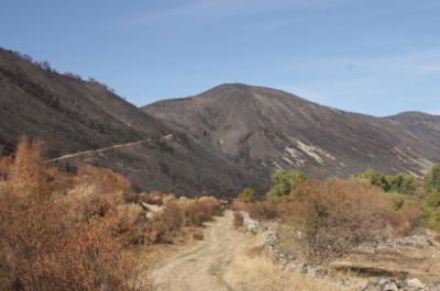 Panorámica de un valle con urogallo del norte de la provincia de León, en la Reserva de la Biosfera de los Valles de Omaña y Luna, que quedó completamente arrasado por el fuego en 2025 (foto: Rolando Rodríguez).