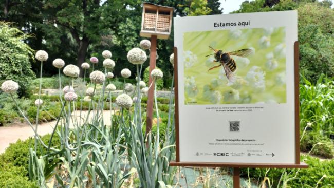 Cartel de la exposición “Estamos aquí” (foto: Real Jardín Botánico).