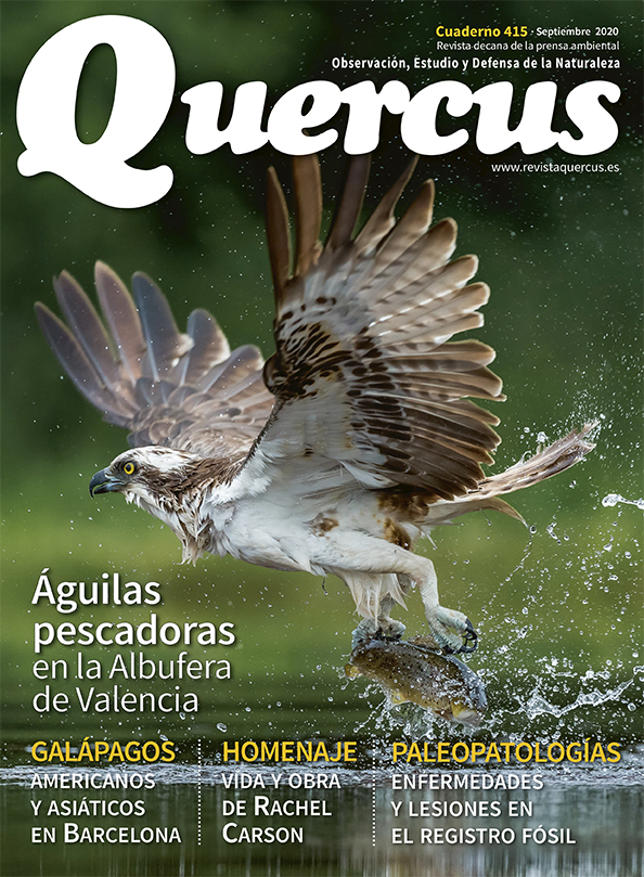 Sumario Quercus nº 415 / Septiembre 2020